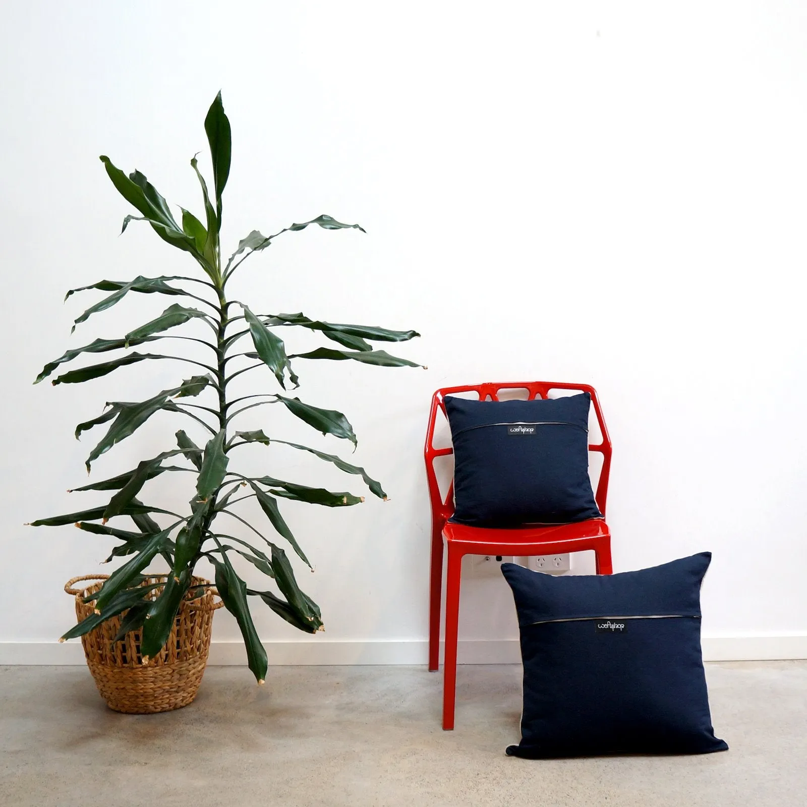 Bilby Cushion in Navy Blue and Red