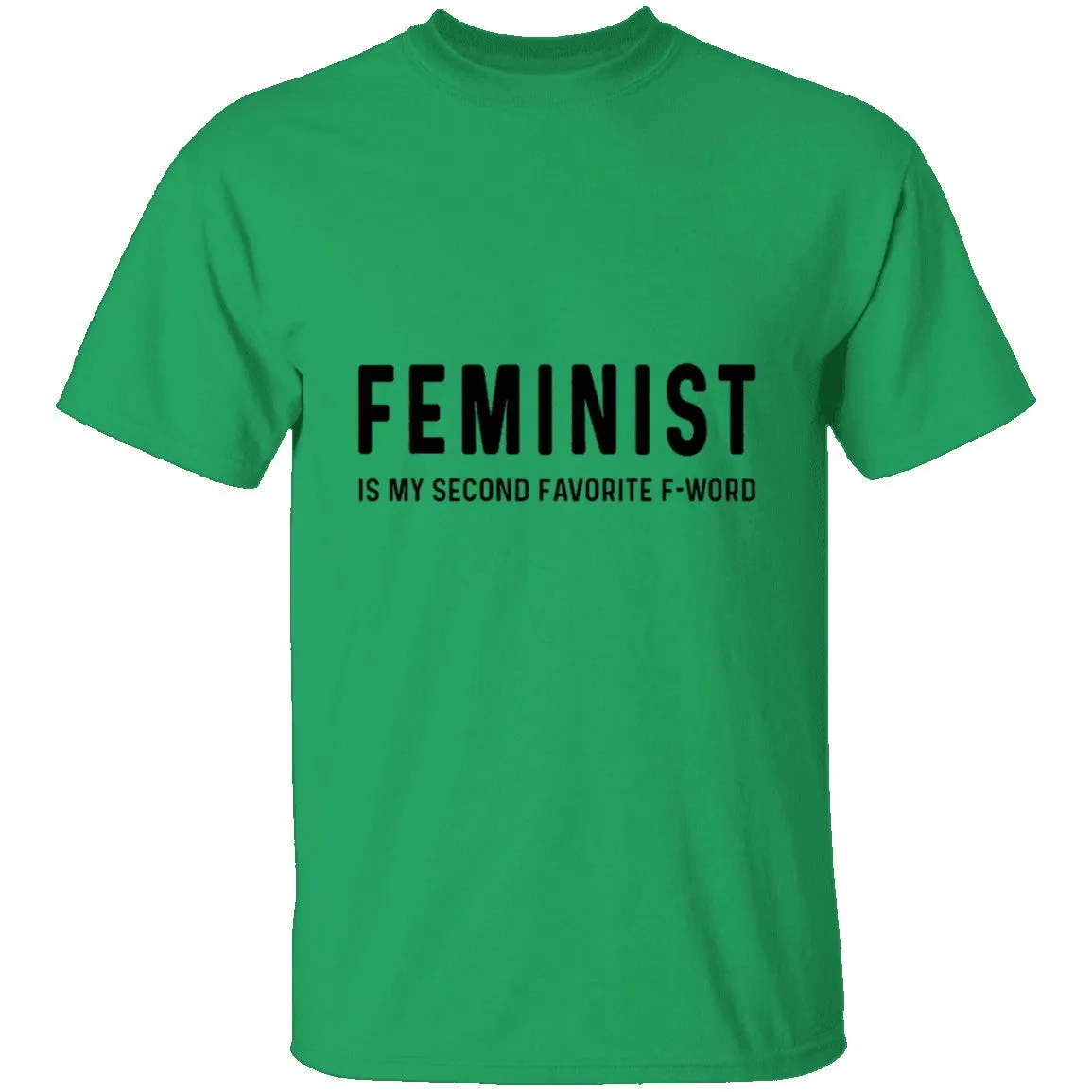 Feminist Is My Second Favorite F-word T-Shirt