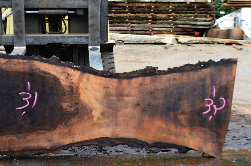 Oregon Black Walnut Slab 041914-01