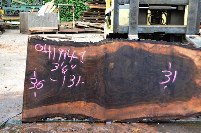 Oregon Black Walnut Slab 041914-01