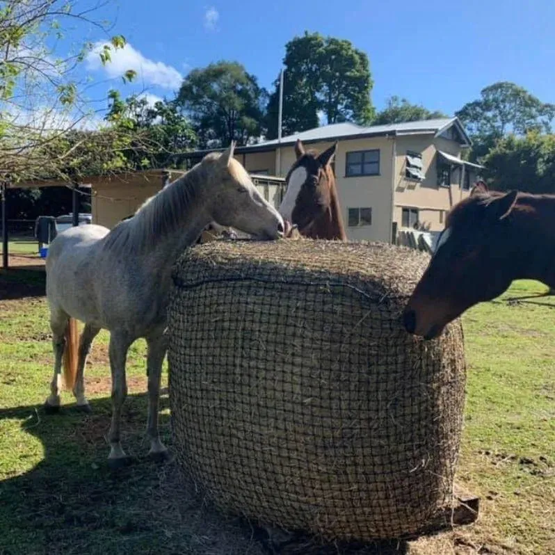 Round Bale Hay Net