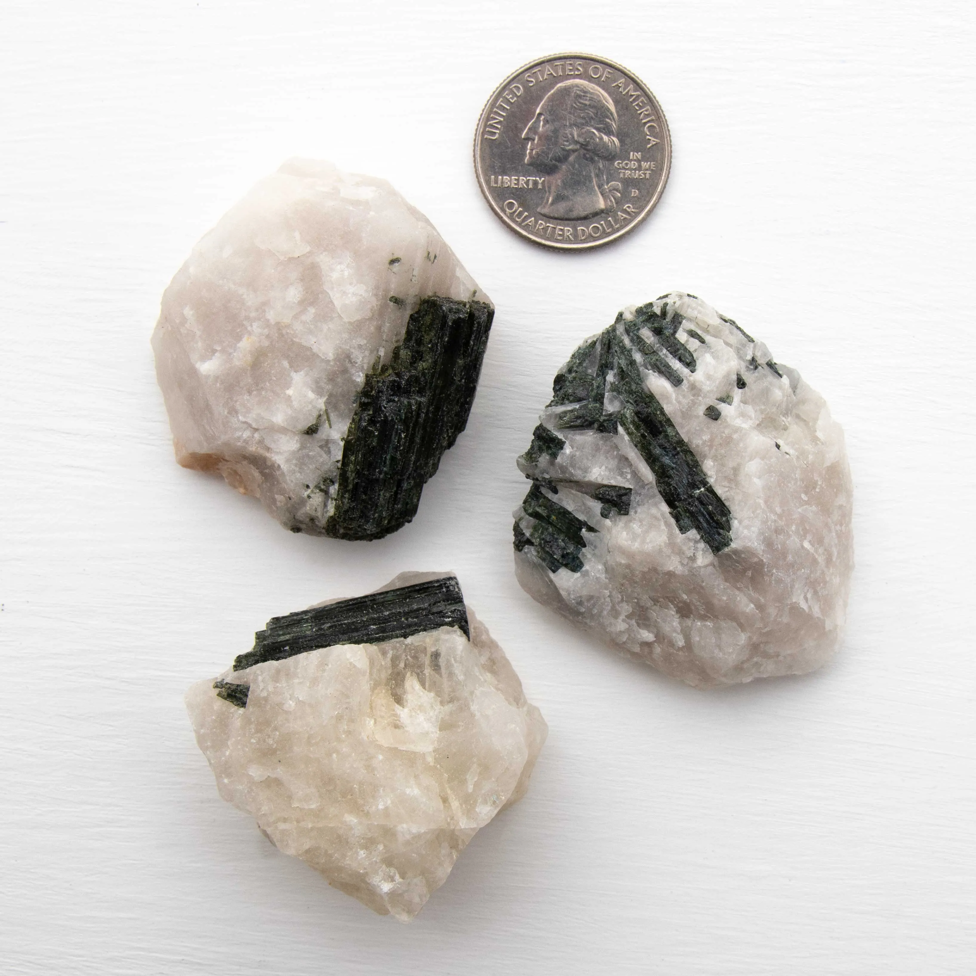 Tourmaline, Green in Quartz - Rough, Medium Color