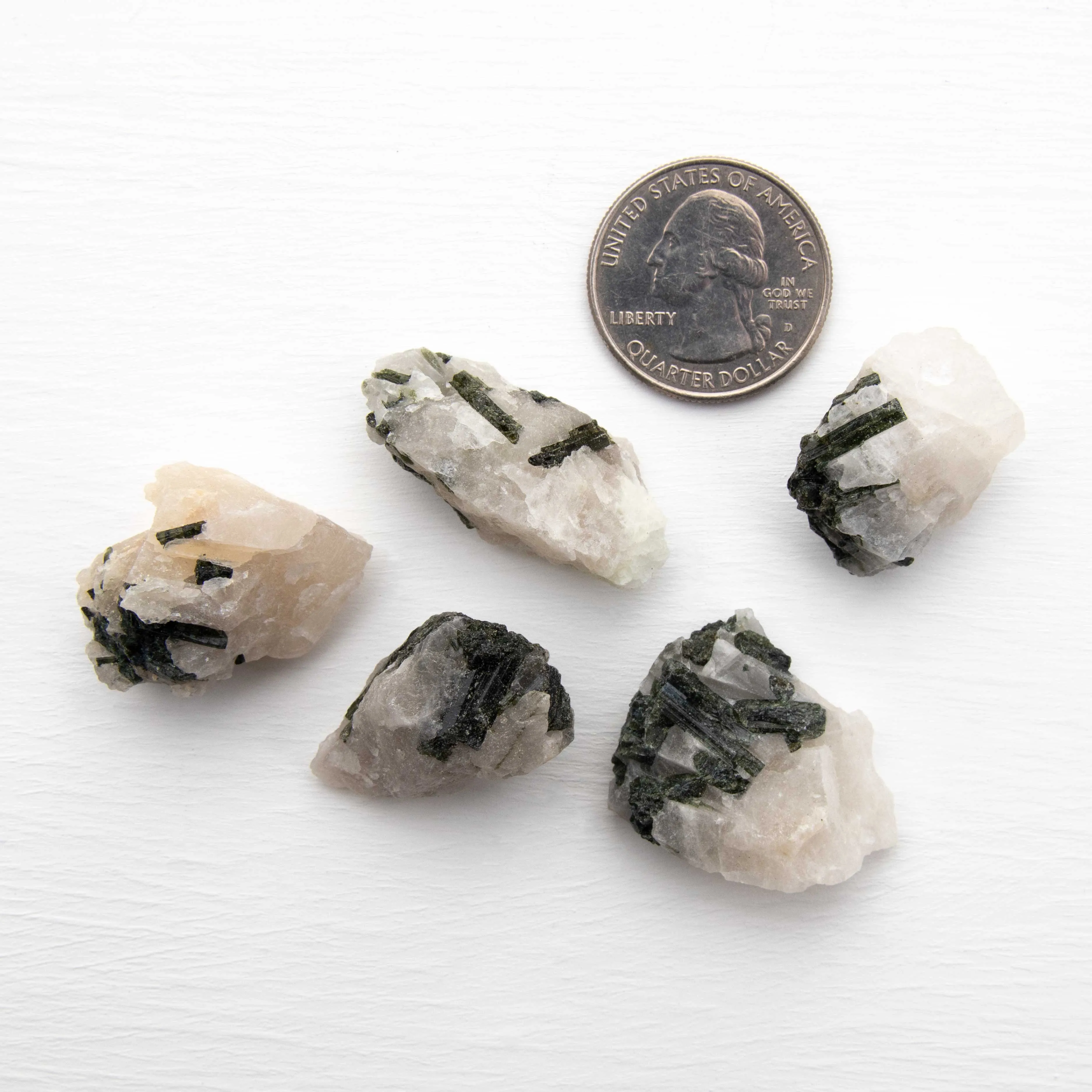 Tourmaline, Green in Quartz - Rough, Medium Color