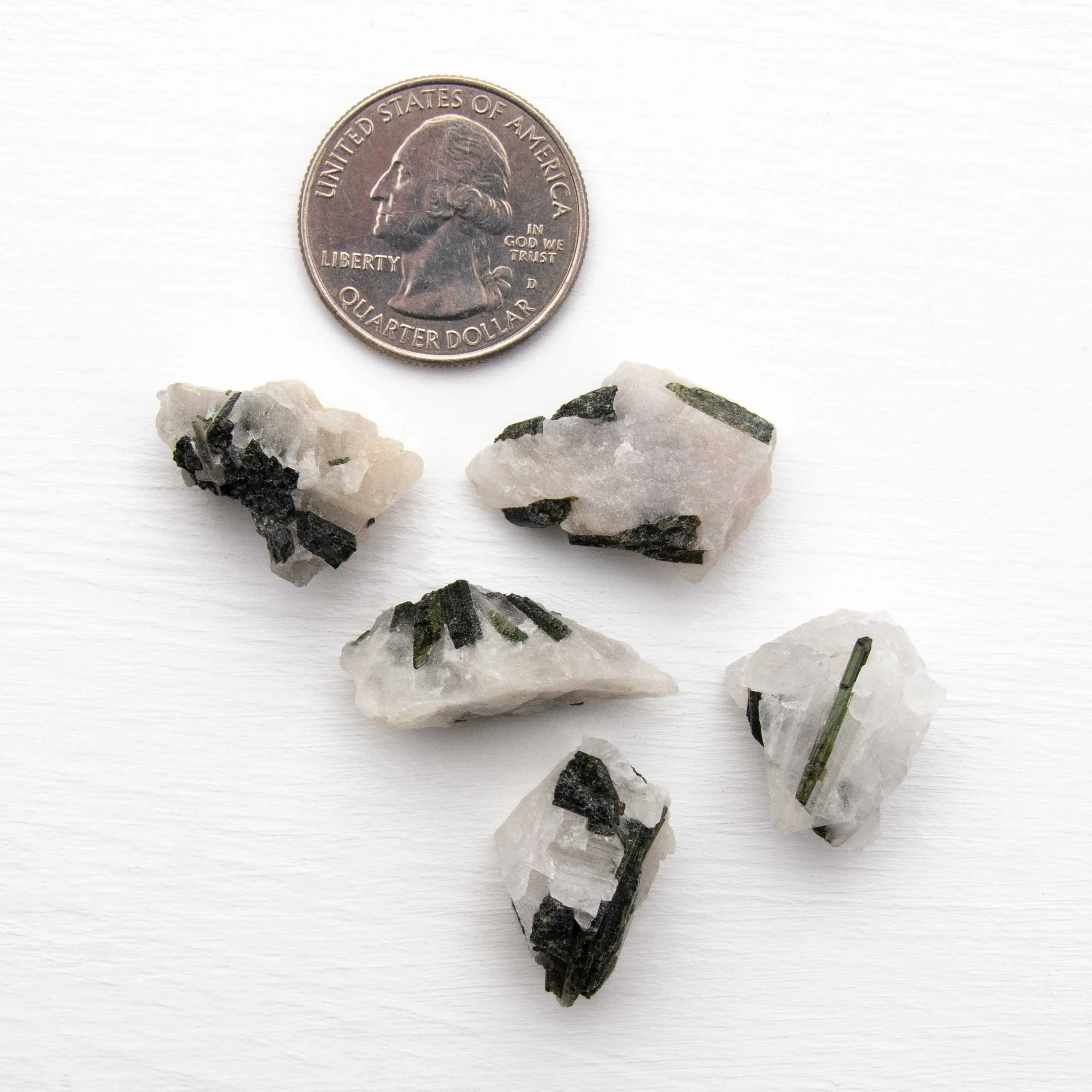 Tourmaline, Green in Quartz - Rough, Medium Color